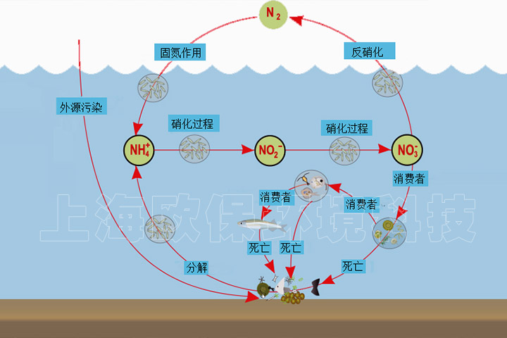 1766621113457649.jpg 水库氮平衡与累积2.jpg