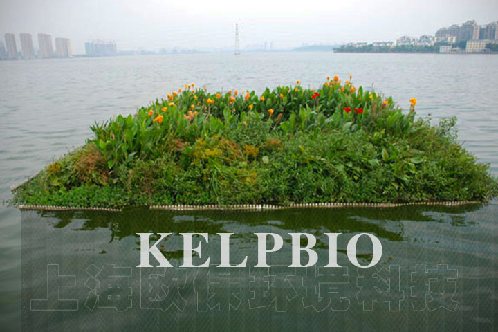 浮田型生态浮岛 浮田型生态浮岛