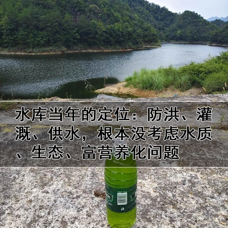 水库富营养化