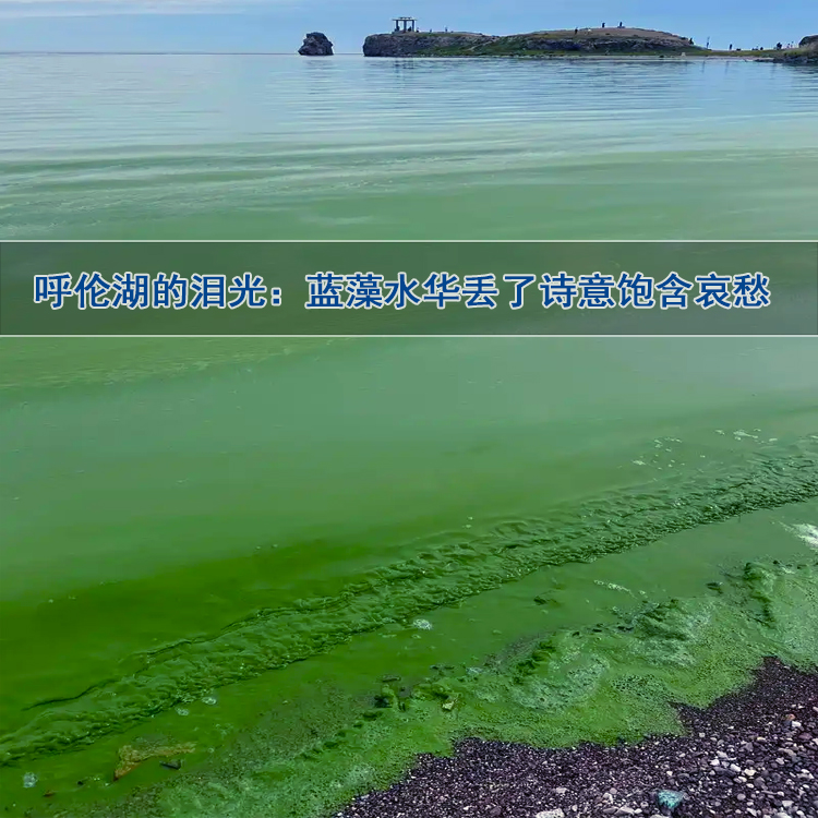 水库蓝藻水华