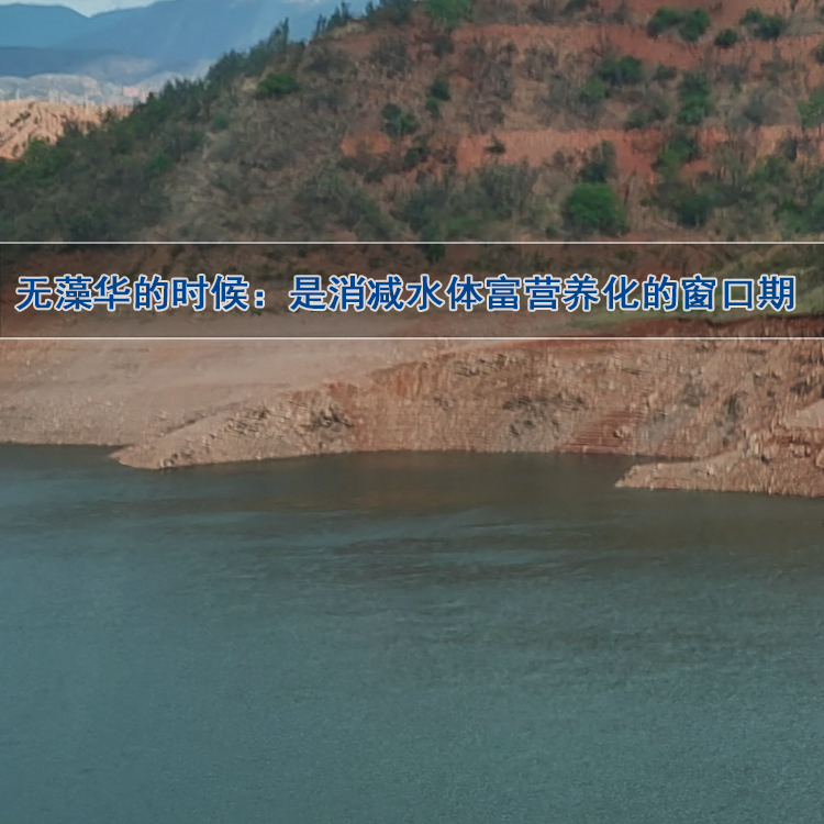 水库水生态修复