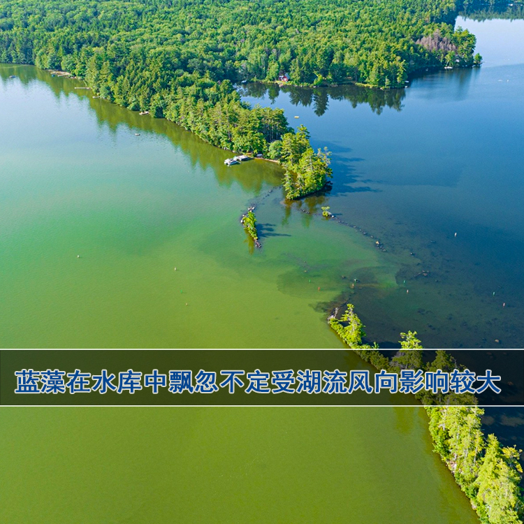 水库蓝藻水华