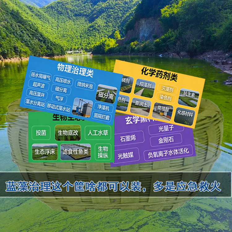 水库水生态修复