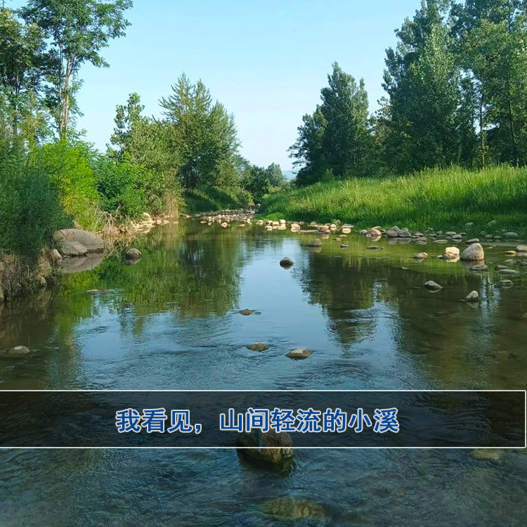 水库水生态修复