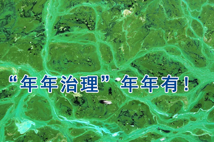 蓝藻治理 蓝藻治理