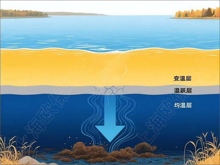 水库分层.jpg